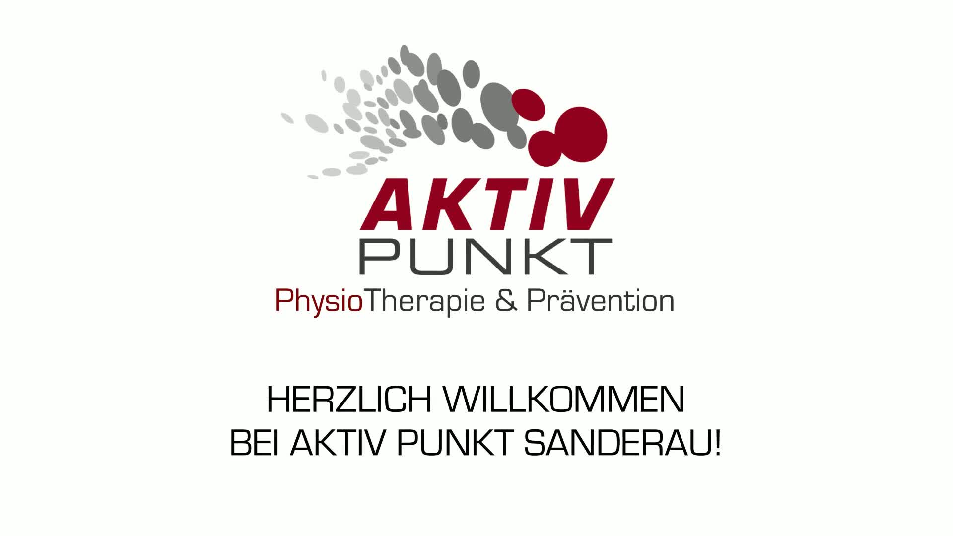 Aktiv-Punkt Sanderau GmbH