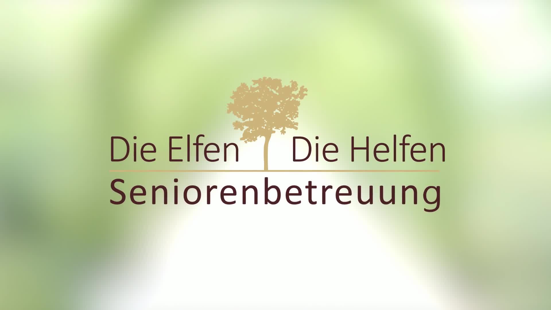 Die Elfen - Die Helfen