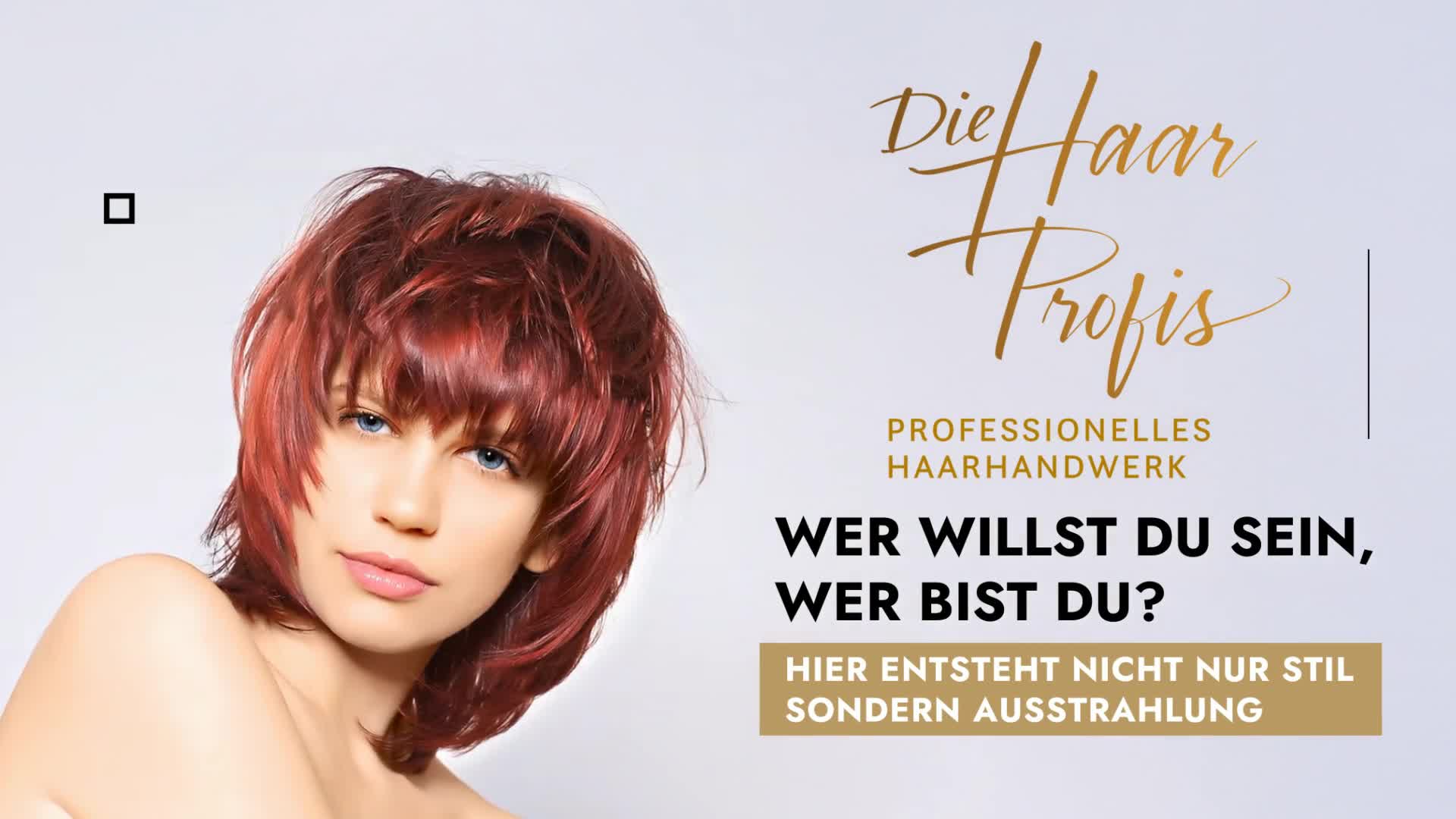 Die Haarprofis