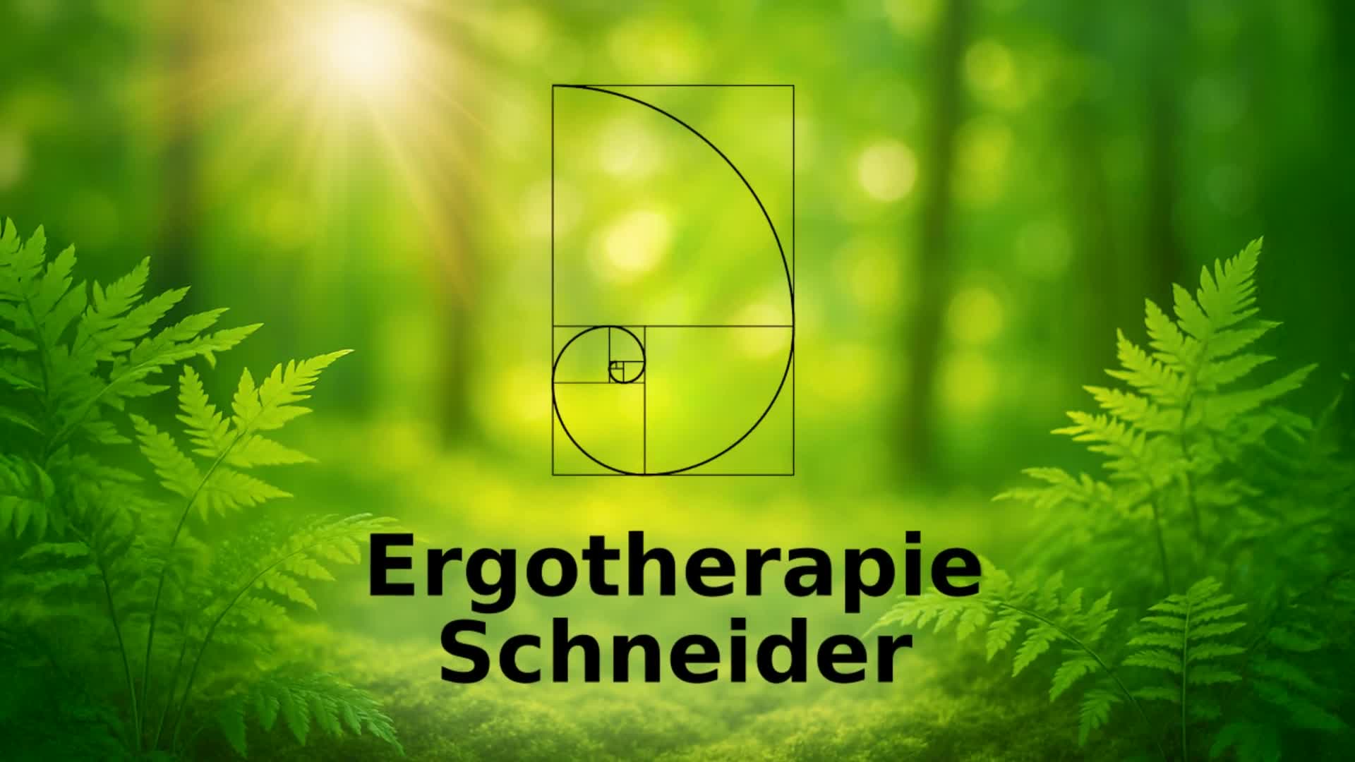 Ergotherapie Schneider