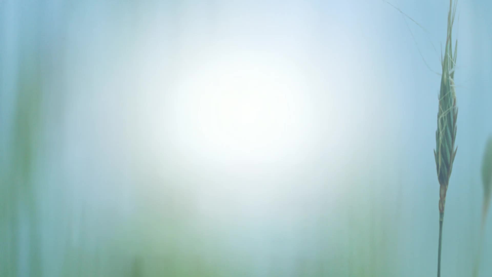 VeliCura ambulante Pflege GmbH