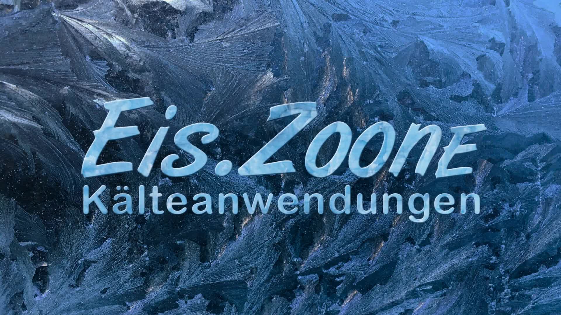 EIS.ZOONE GmbH