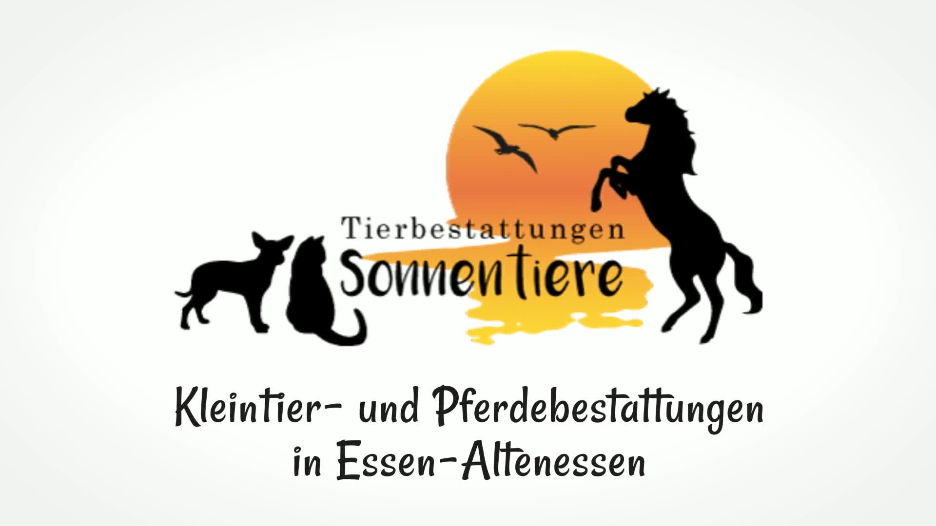 Tierbestattungen Sonnentiere Susanne Wagner