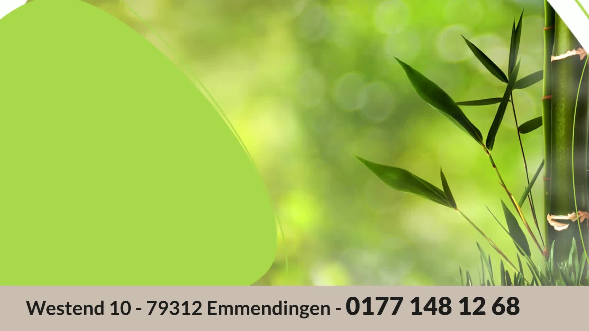 Naturheilpraxis Sansa TCM Sun Ja Heine