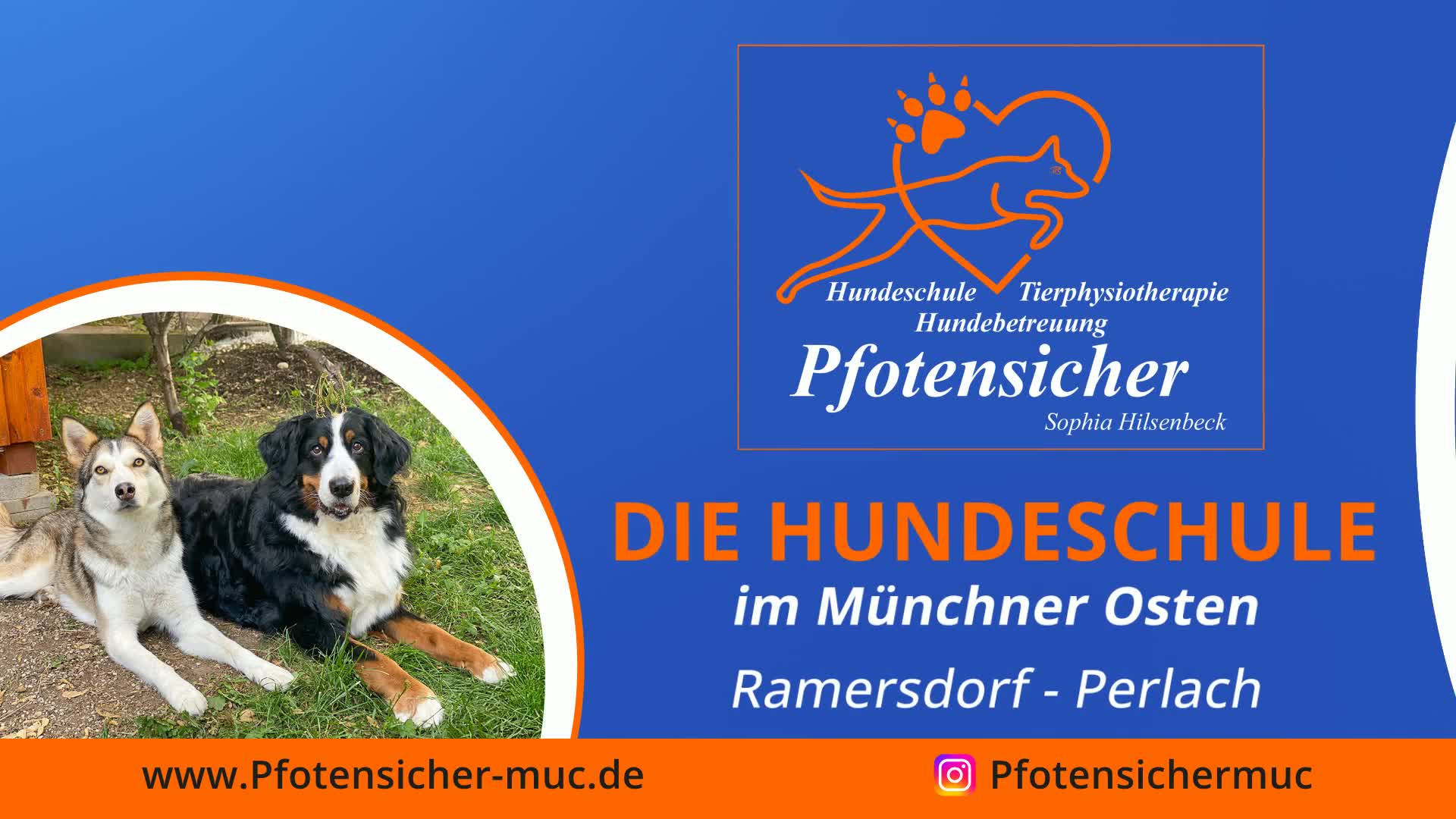 Pfotensicher Sophia Hilsenbeck