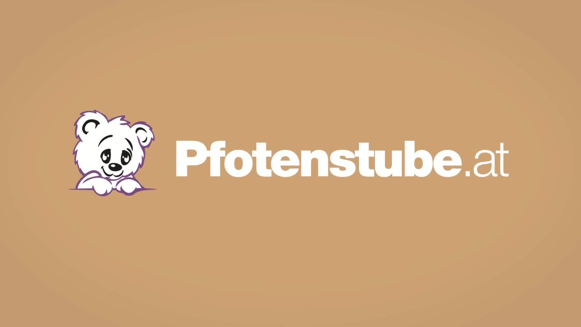 Pfotenstube.at Sandy Guntendorfer